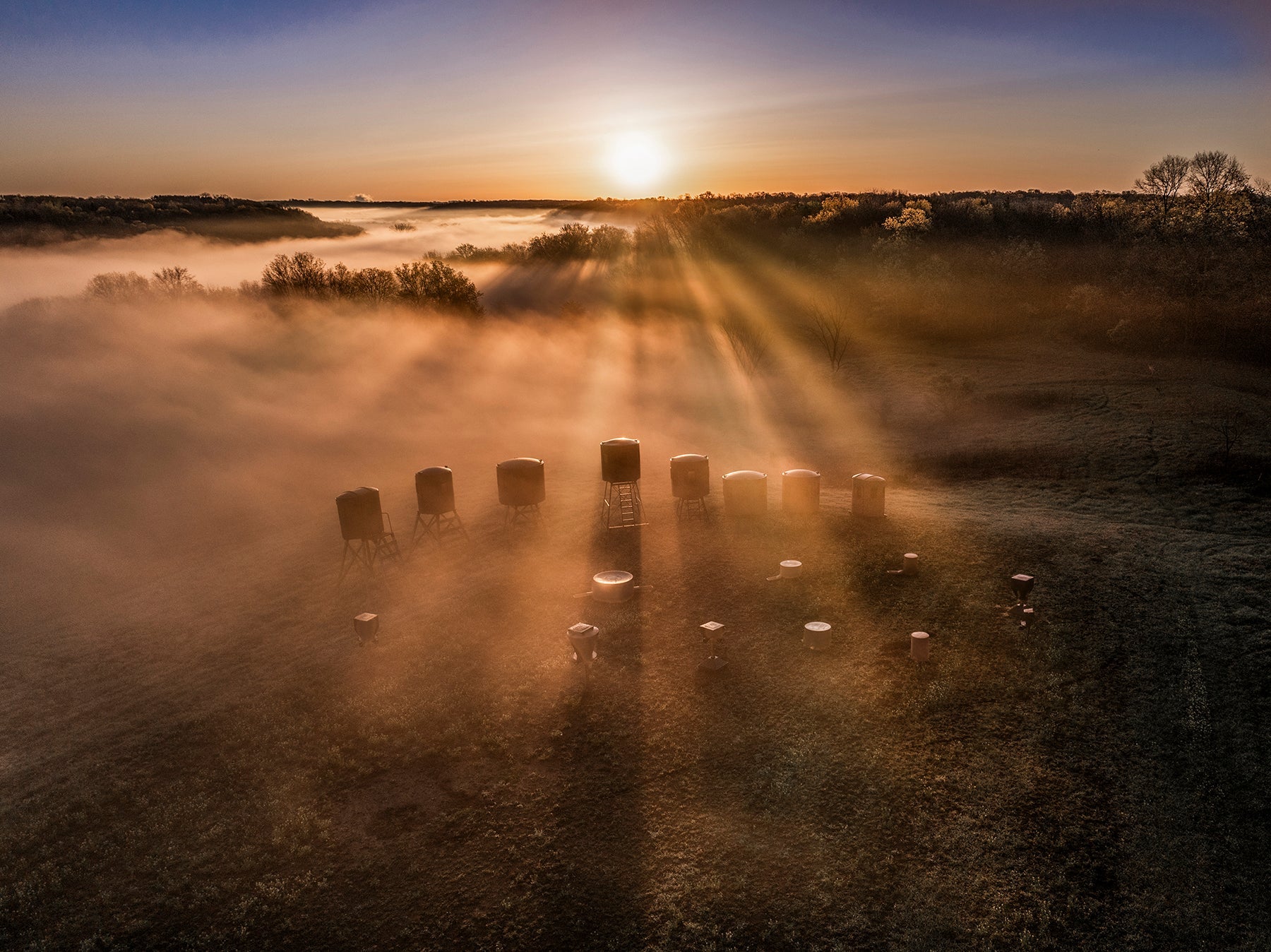 Summer Habitat Projects That Pay Off in Fall