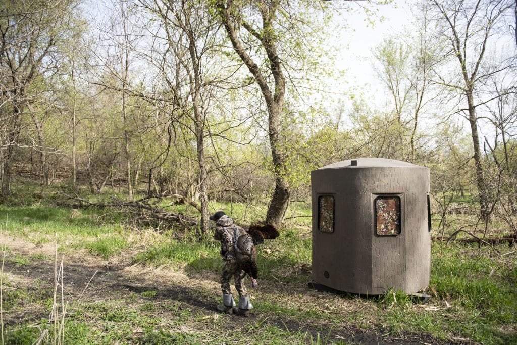 Key Turkey Behavior Changes to Expect Before Spring