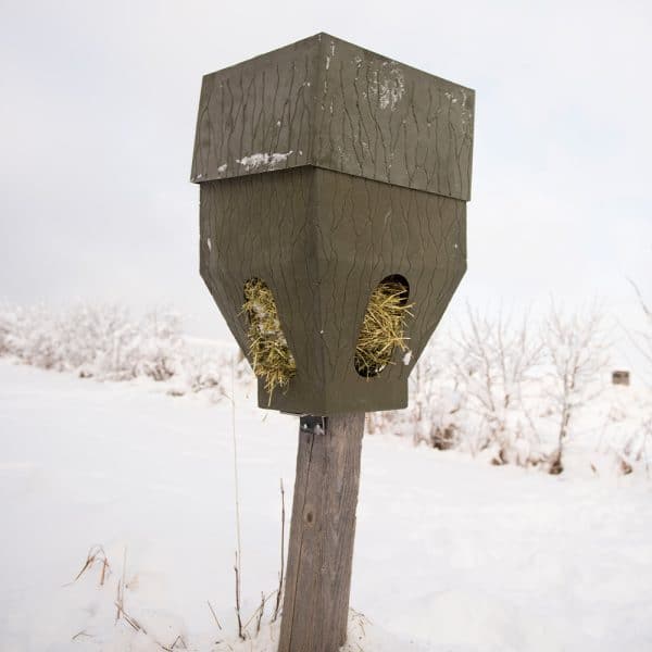 Winter Wildlife Tracking: Identifying Signs in Snow