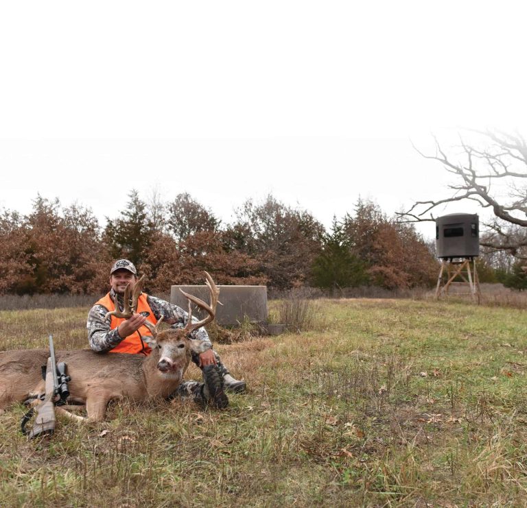 How to Make Your Hunting Property More Attractive Right Before the Season