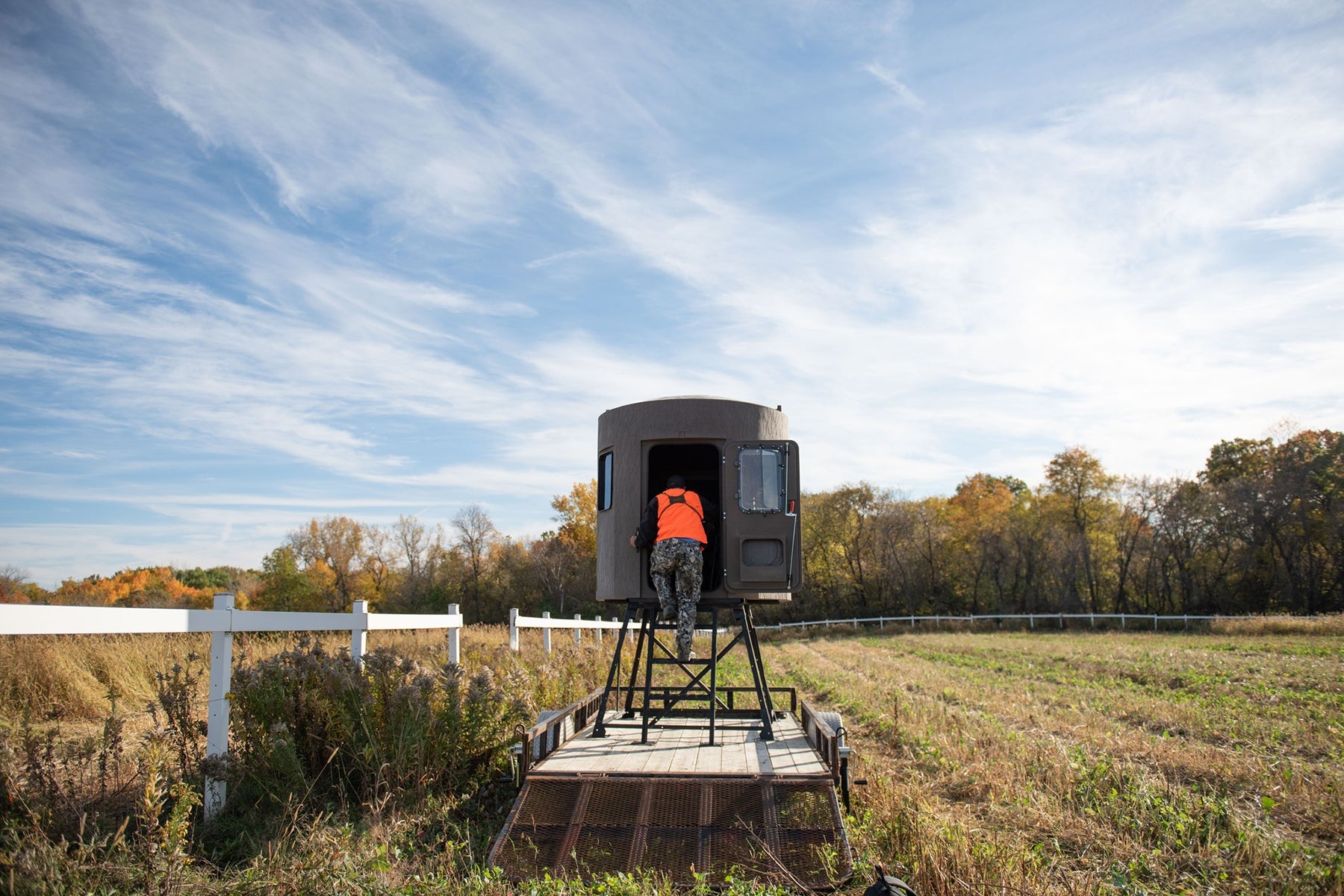 Predator Management Strategies Around your Property