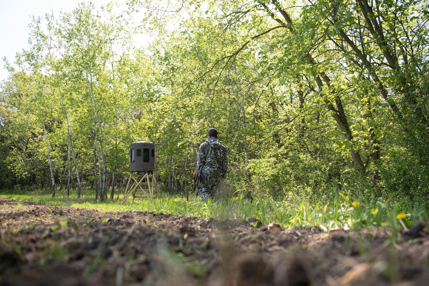 How to Identify Target Bucks Before the Season Starts