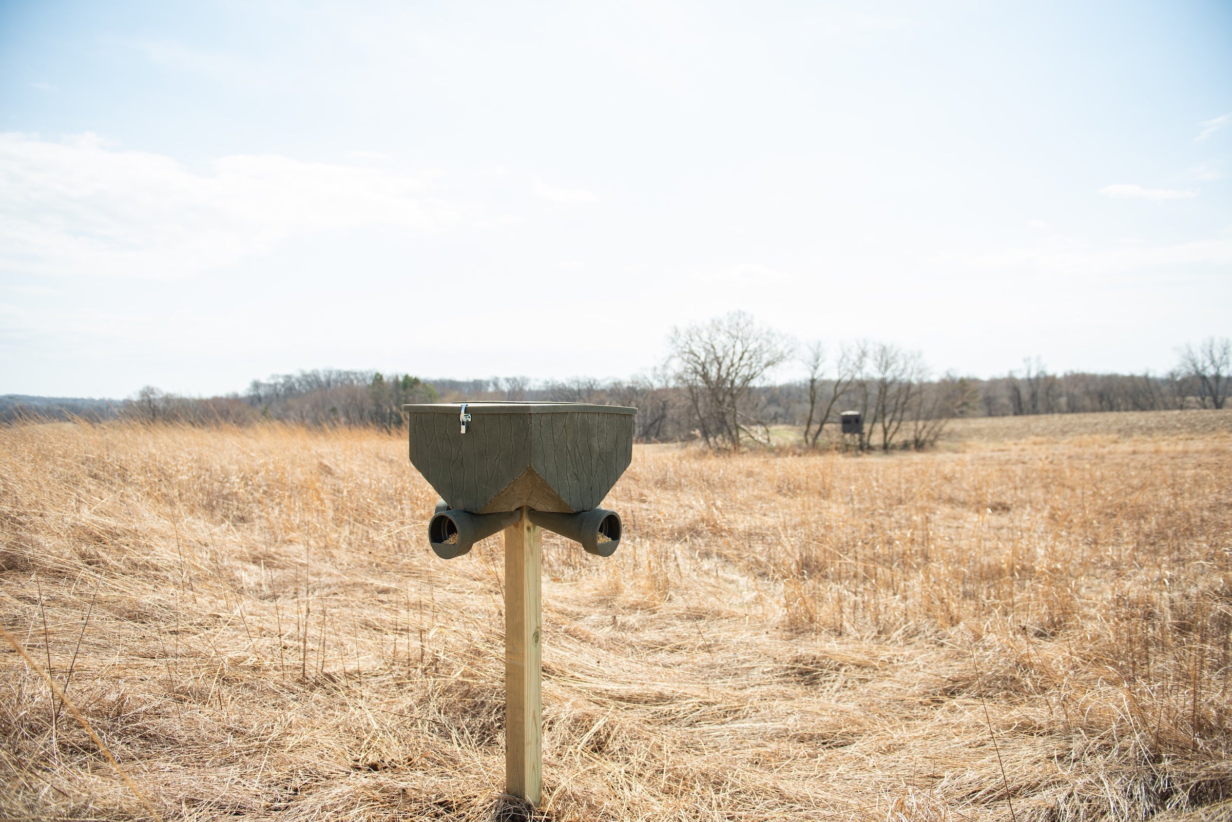 Fawn Season: Reducing Pressure and Supporting Herd Survival