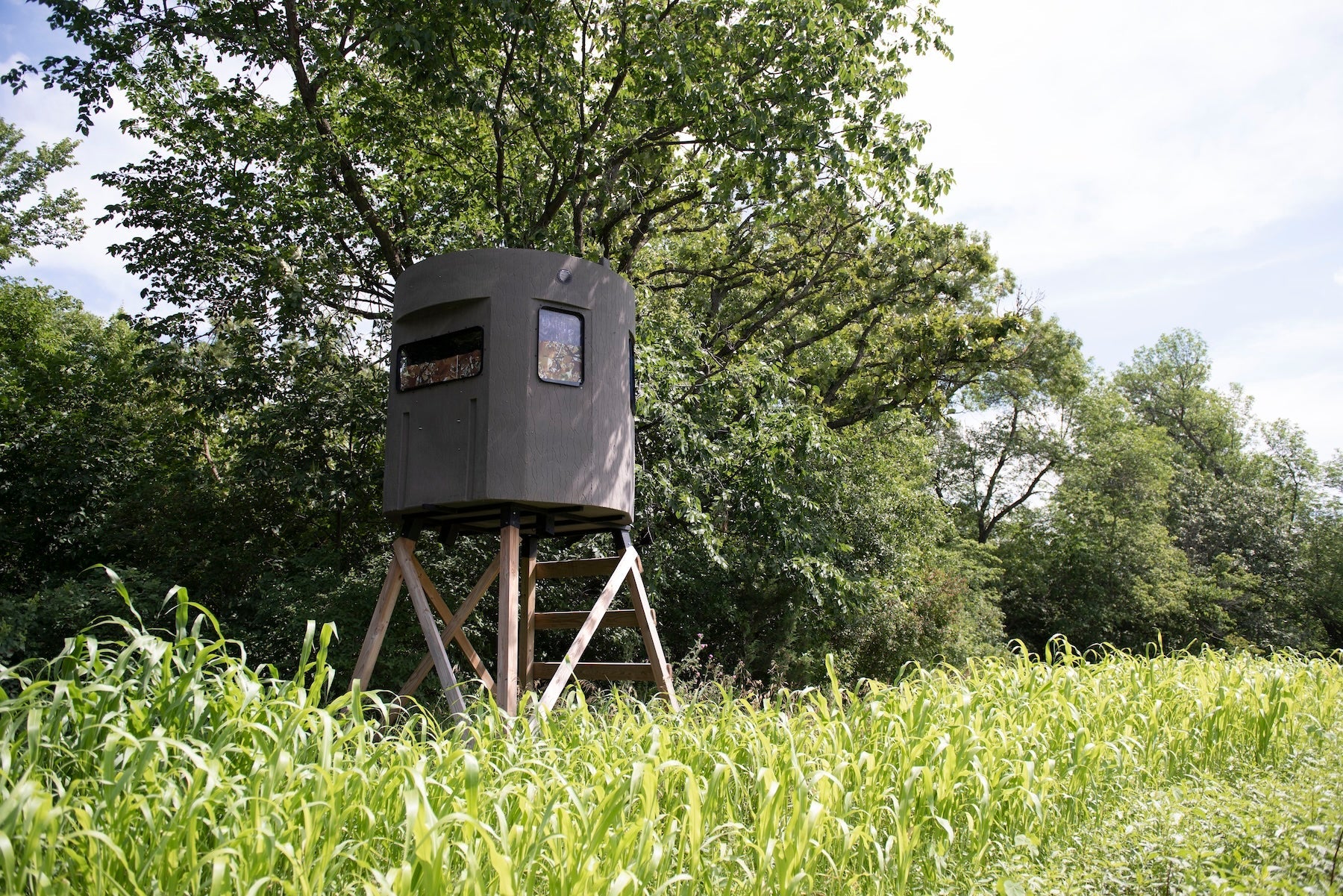 Best Blind Locations for Turkey Hunting in Timber, Fields, and Funnels