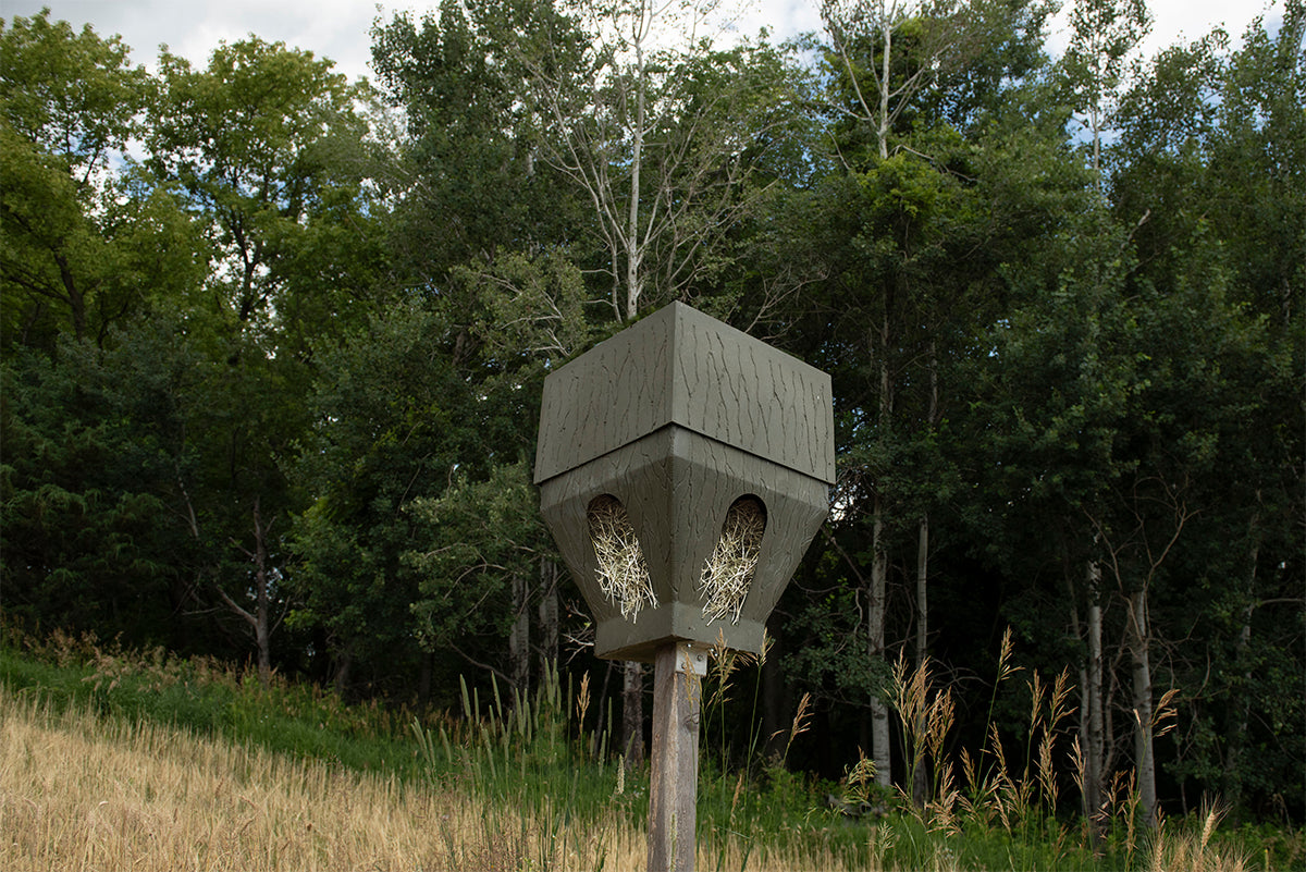 What Do Deer Do in February?