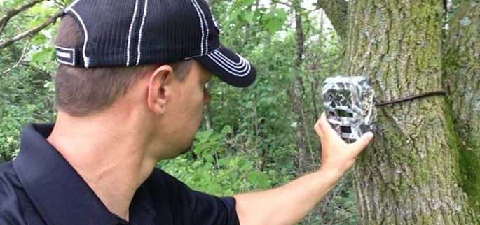 Trail Camera Placement Guide for July and August