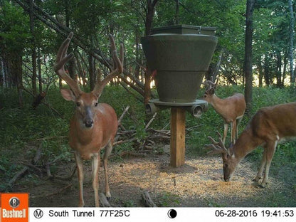 FEEDBANK 600 GRAVITY DEER FEEDER